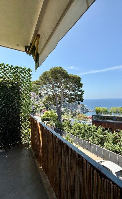Sea panorama with pine and palm trees from a Mont Boron apartment