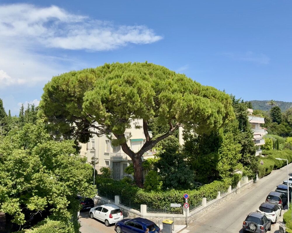 Second and Top Floor of a Small House to Renovate Located in the Heart of Cimiez