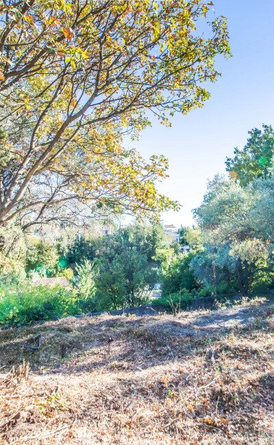 nice cimiez land for sale