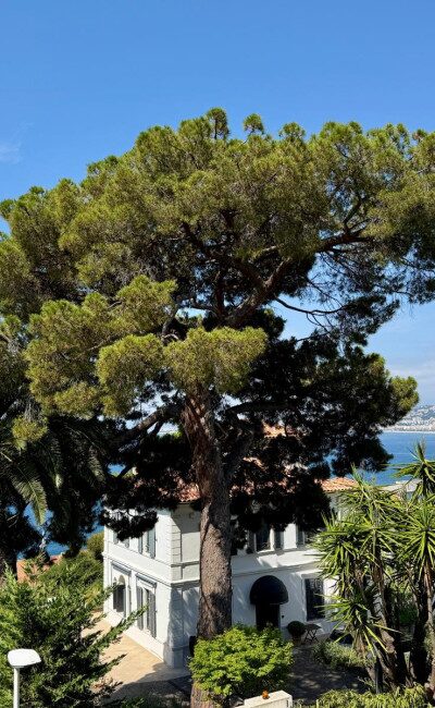 Trilocale ristrutturato a nuovo con cucina attrezzata e vista mare a Nizza