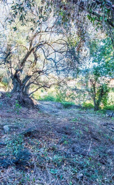 Terreno in vendita a Nizza Impasse Scudéri