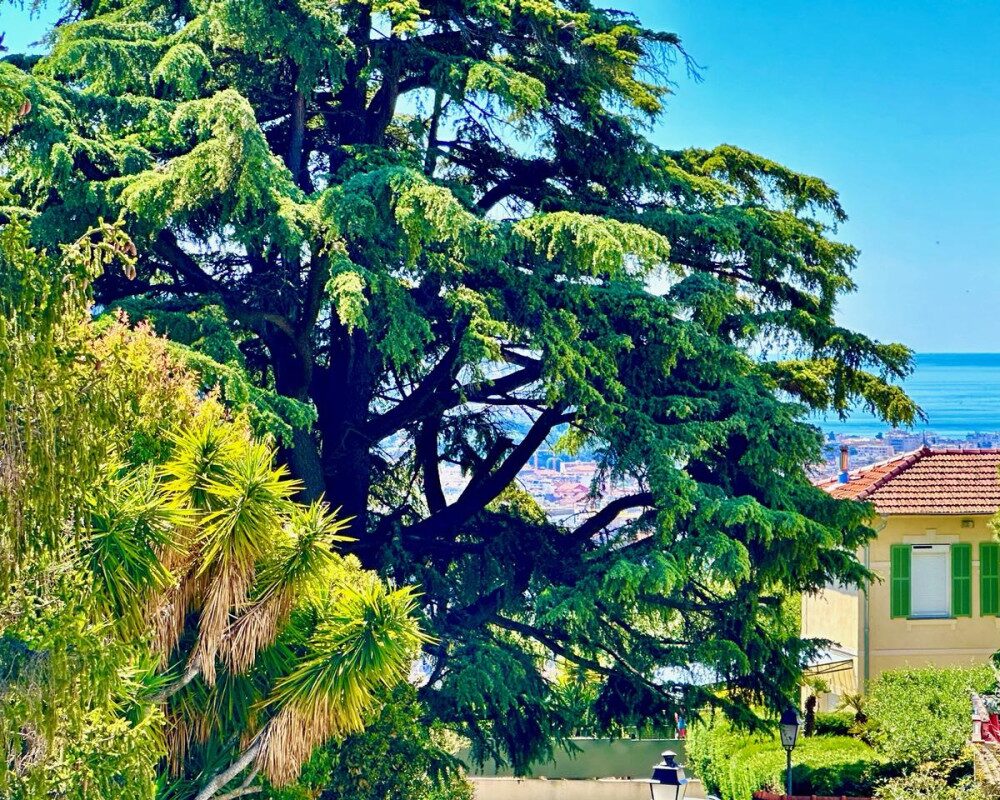Casa  - Casa bifamiliare  - 7 stanze  - 137.0 mÂ² -  849.000 â¬ - Venduto 