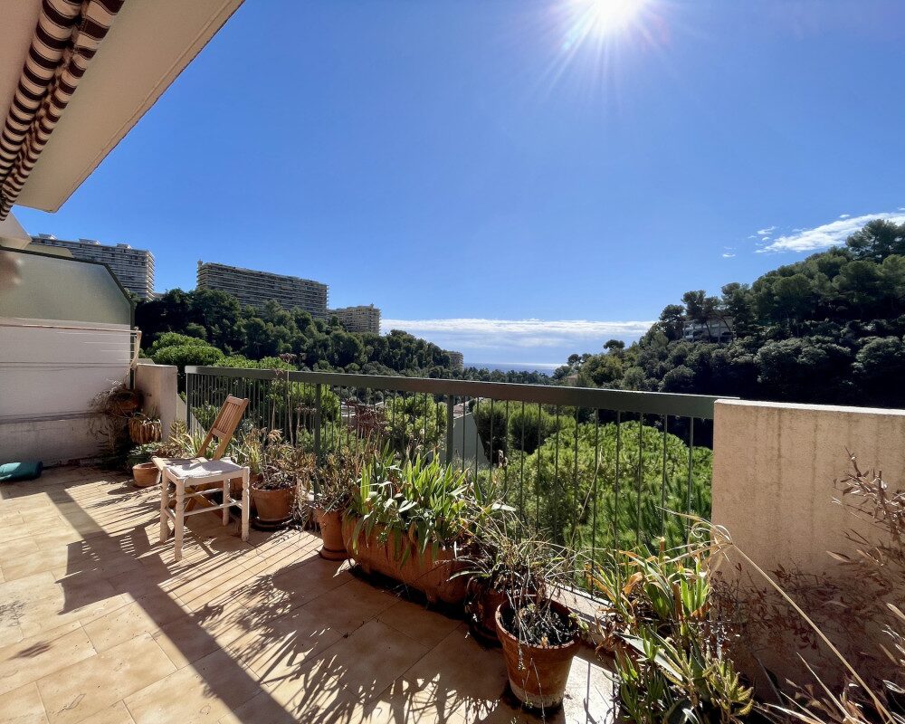 Nice Madonette - F1 dernier Ã©tage terrasse dans rÃ©sidence avec piscine 
