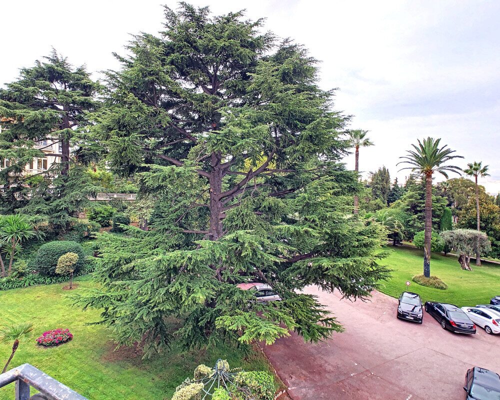 Studette 14.37 mÂ² dans l'annexe d'un superbe Palace au coeur de Cimiez              