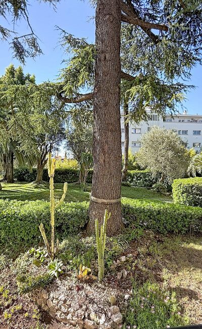 Résidence avec parc arboré à Cimiez Immobilier